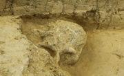 2022年度全国十大考古新发现揭晓