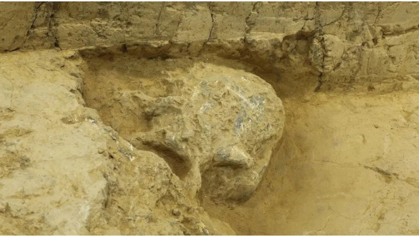 2022年度全国十大考古新发现揭晓